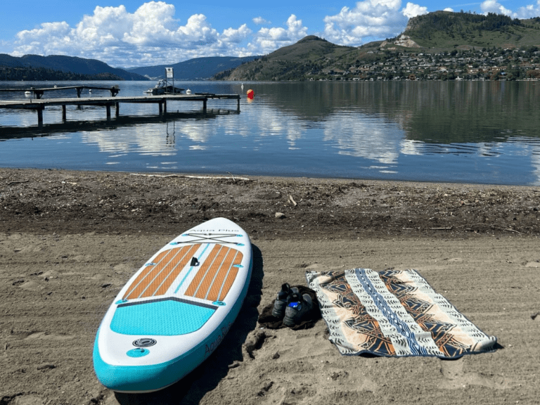 lake view with boats