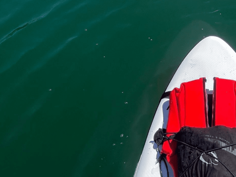 boat in lake